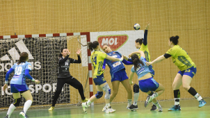 V MOL lize bude  devět  českých týmů