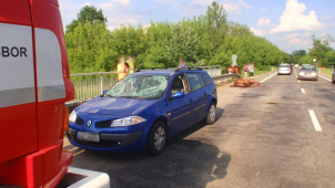 Kůň nepřežil srážku s autem