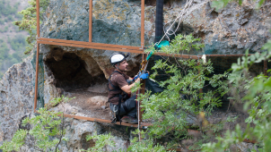 Do bulharských hor zamířili další supy