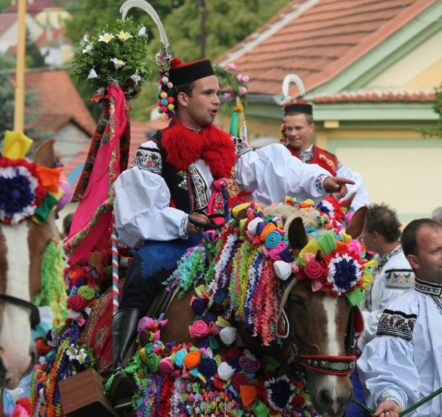 Vinařský fond podpořil vinaře ve Zlínském kraji