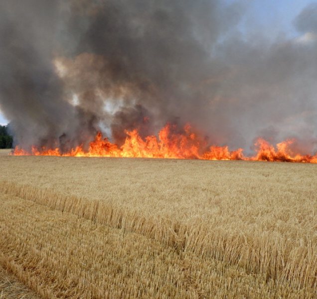 Požárů na polích stále přibývá