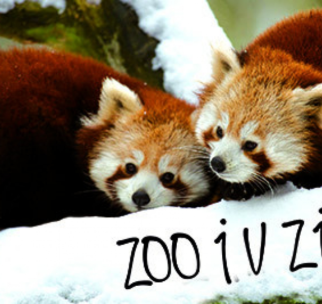 Zlínská zoo hlásí rekordní návštěvnost