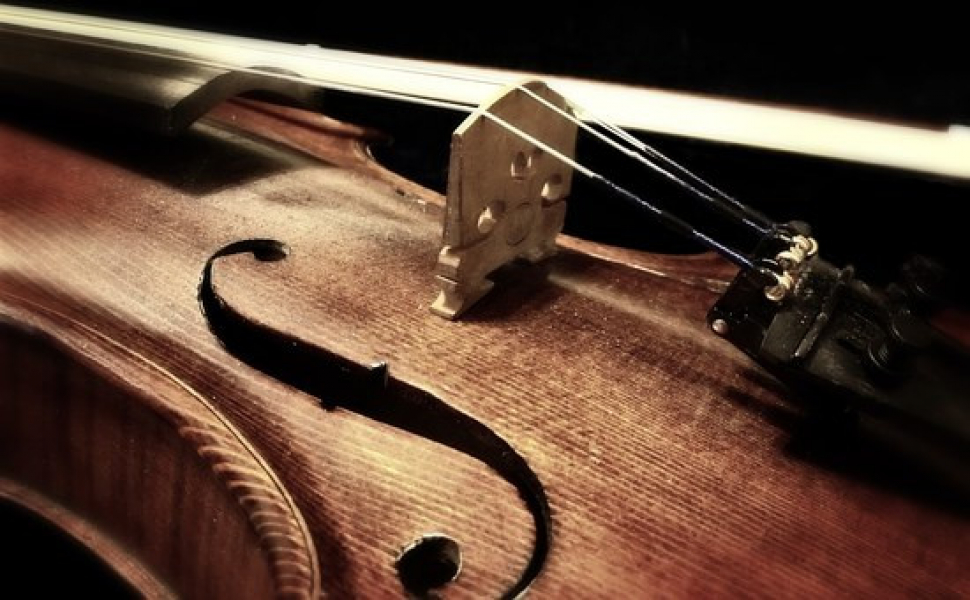 Ve zlínském muzeu teď můžete vidět historické hudební nástro
