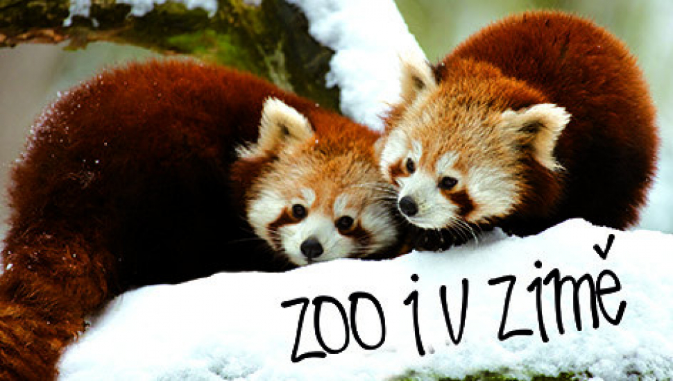 Zlínská zoo hlásí rekordní návštěvnost
